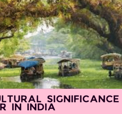 The Cultural Significance of Summer in India